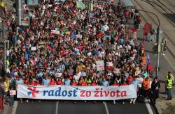 12494870_1092178907468470_465245422519344991_n.jpg - 